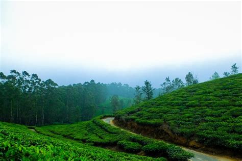 cocrog|why is coorg famous.